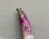 ウドの芽のマヨネーズ焼き作り方1写真