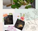大根とほうれん草のたまごとじ(簡単)作り方1写真