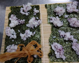 てるてる鬼と青花の簡単かわいい巻きずし作り方8写真