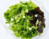 三種のレタス［サラトリオ］の焼肉サラダ作り方1写真