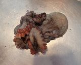 マダコの茹で方作り方1写真