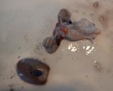 マダコの茹で方作り方7写真