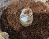 チョコ風味のアイスボックスクッキー作り方7写真