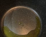 五目きんぴら作り方3写真