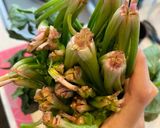 ほうれん草のツナマヨサラダ！作り方1写真