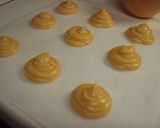 コツを押さえて誰でも膨らむシュークリーム作り方13写真