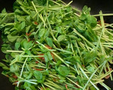 豆苗と椎茸と昆布の桜海老炒め作り方3写真