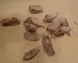 マダコのから揚げ作り方4写真