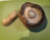 椎茸のチーズ焼き作り方2写真