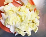 漬け時間なし生白菜のやみつき浅漬け作り方1写真