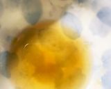 漬け時間なし生白菜のやみつき浅漬け作り方5写真