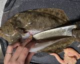 カレイの唐揚げ甘酢あんかけ作り方3写真