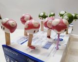 マリオ〜 1UP★スーパーきのこ作り方4写真