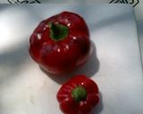タイカレーを使ってガバオご飯作り方2写真