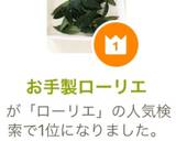 お手製ローリエ作り方6写真
