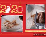 うどん餃子(簡単)作り方7写真