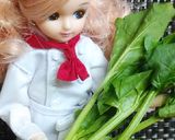 りかちゃん♡ポパーイなほうれん草餃子作り方1写真