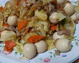 柔らかキャベツたっぷり♡豚肉入り野菜炒め作り方21写真