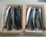 鰯　麺麭粉　瓦斯天火焼作り方1写真