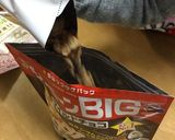 チョコフレーク 何も汚れません作り方3写真