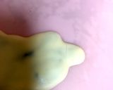初めてのキャラチョコ ウルトラマンフーマ作り方13写真