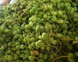 実山椒の醤油煮作り方1写真