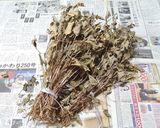 常用　どくだみ茶の作り方作り方1写真