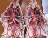 お雑煮にもオススメ☆鶏ガラスープの取り方作り方5写真