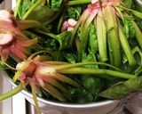 多量のホウレンソウの茹で方作り方2写真