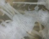 リカちゃん♡ベリーちゃん餃子スープ*｡ﾟ作り方1写真
