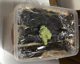 絶品!二十割味噌作り方8写真