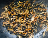 常備菜　お弁当に！ひじきとごぼうの金平風作り方9写真