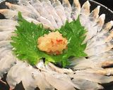 マゴチ刺身をもみじ下ろし&ポン酢で作り方5写真