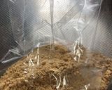 簡単!コッペンパンで揚げパン作り方1写真