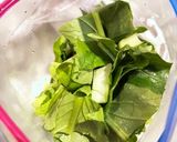 小松菜の浅漬け・塩昆布と梅ワサビ味！作り方4写真