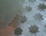 Jellyなオニオンドレッシング作り方3写真