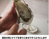 殻付き牡蠣の剥き方作り方12写真