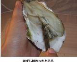 殻付き牡蠣の剥き方作り方13写真