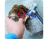 殻付き牡蠣の剥き方作り方19写真