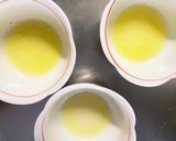 全てレンジかぶ白菜ガリバタチャンプル作り方13写真