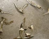 ちょっと歯応えの残る牛すじの煮込み作り方5写真