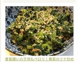 春菊嫌いの子供もペロリ！春菊のツナ炒め作り方7写真