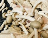 鶏むね肉のしょう油バターレモン焼き作り方3写真