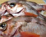 メバルの煮付け作り方1写真