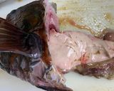 【基本】ブダイの捌き方(刺身まで)作り方6写真