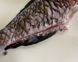 【基本】ブダイの捌き方(刺身まで)作り方8写真