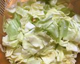 トリ,トリ,トリ,そしてお野菜の煮物作り方2写真