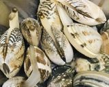 アサリのワイン蒸●バジル＆レモン汁しあげ作り方1写真
