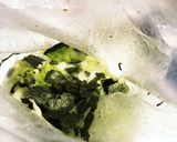 レタスと塩昆布と焼き海苔を和えただけっ！作り方3写真