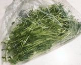 ズボラさん向け豆苗の冷凍保存法作り方1写真